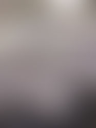 Repudian el ataque denunciado por el expresidente boliviano Evo Morales