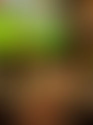 Empleados alcohólicos incurren en ausentismo y accidentes laborales