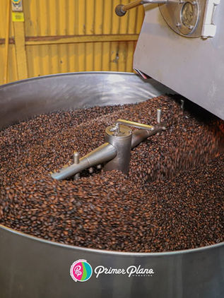 Chiapas, orgullo cafetalero de México y del mundo