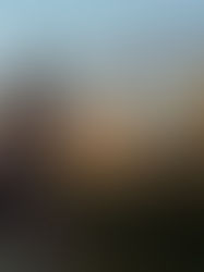 "Mayoría de mujeres en prisión cometió homicidio en defensa propia"