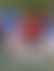 Casi 300 compiten el sábado