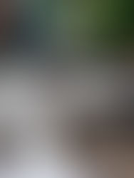 Estados afectados por Lidia y Max colaborarán para atender a los damnificados