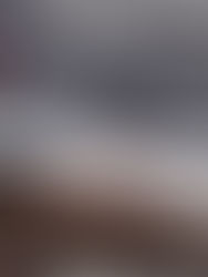 ¿Qué es y qué hace la empresa Vale de Brasil?