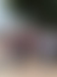 Invierte Rutilio Escandón más de 266 millones de pesos en parques públicos, en Chiapas: Ángel Torres