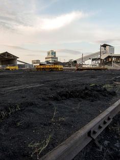 Se han recuperado 16 de los 65 cuerpos en la mina Pasta de Conchos