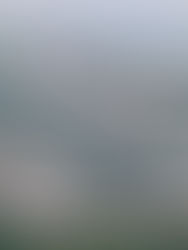 Piden sumar esfuerzos para crear viviendas dignas en zonas habitables 