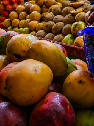 Estados Unidos consume importante cantidad de mango chiapaneco 