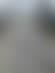 Problema legal aún no permite modernizar rutas 1 y 2