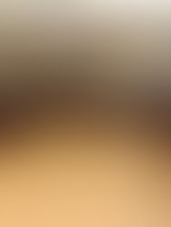 Recibe Guillermo Ramos a Barras de Abogados de San Cristóbal y Comitán