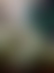 México prevé un alza de 0,5% en su producción agrícola y pesquera de este año