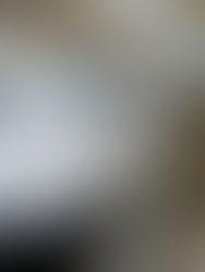 Japón celebra el 60 aniversario de su icónico tren bala