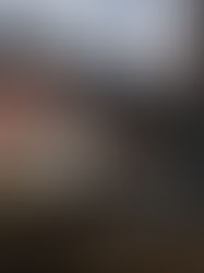 Necesario, armas en hogares ante aumento de la delincuencia: Barra de Abogados