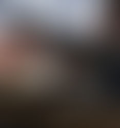 Necesario, armas en hogares ante aumento de la delincuencia: Barra de Abogados