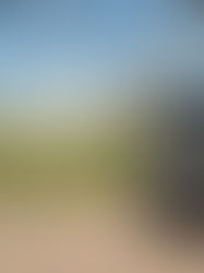 Un tiroteo entre presos en una cárcel de Sinaloa deja tres muertos