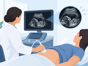 Understanding Ultrasound Images Made Clear