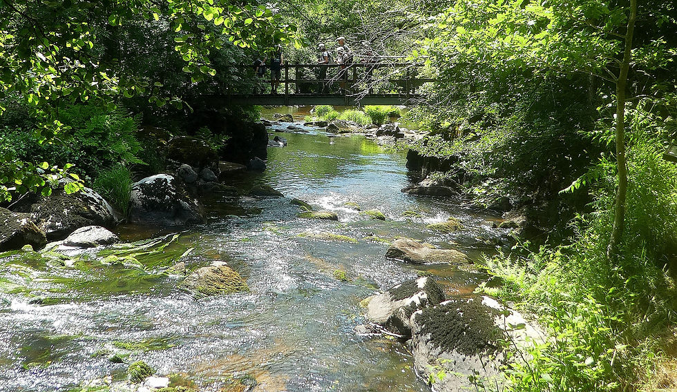 St Germain de Confolens le 12 06 2025 (3)