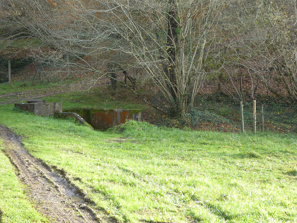 P1170213