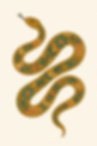 Snake River Dance color snake.png