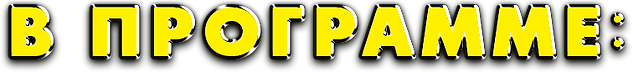 в программе_.png