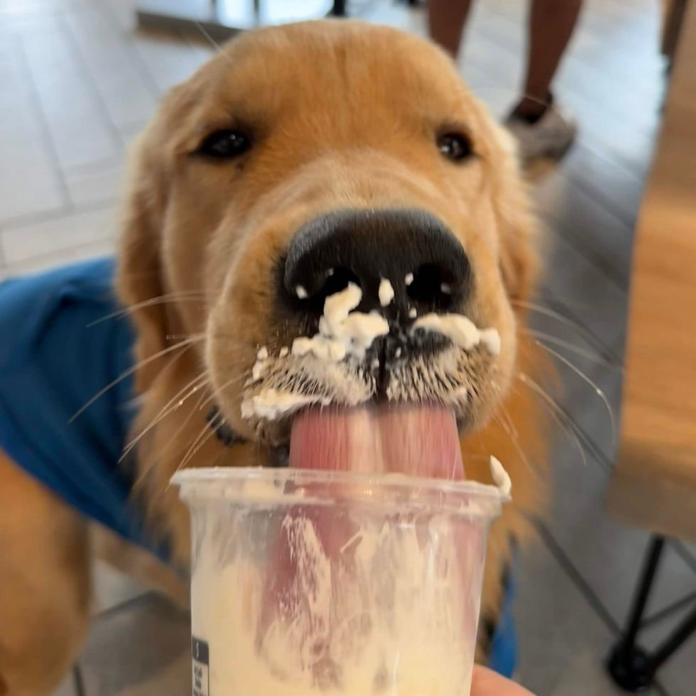 foooood_edited.jpg
