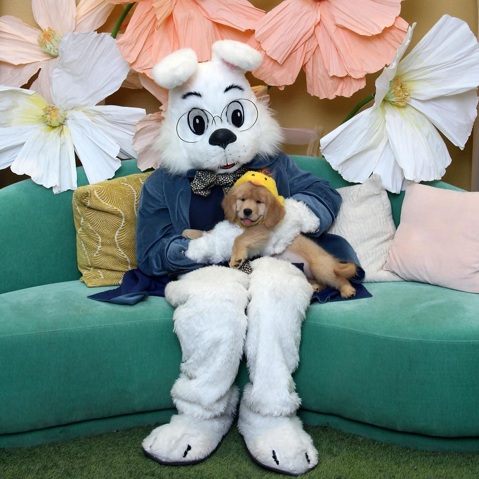 pupppppy_edited.jpg
