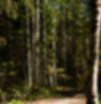 _MG_4624_edited.jpg