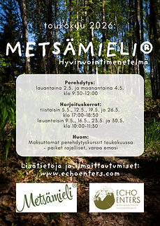 MESTÄMIELI-19.png