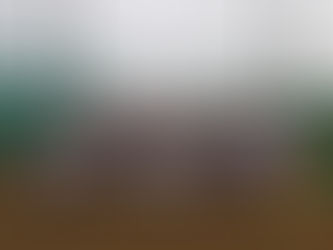 立川シニア親睦野球大会 決勝戦