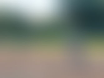 南関東支部秋季大会 第2戦(8/26)