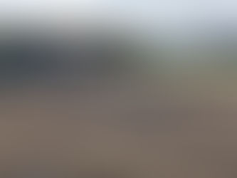 立川シニア親睦野球大会 予選リーグ