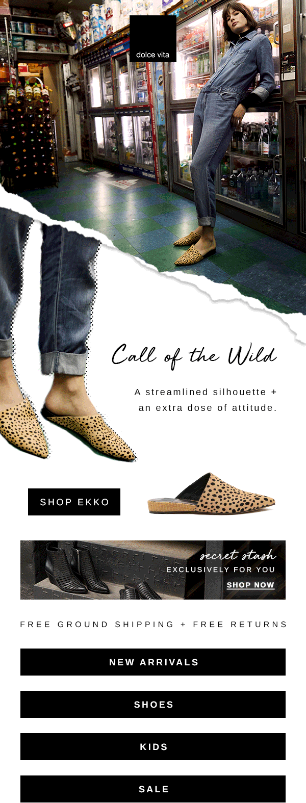 2019_01_10_Email_ExoticEkko_TitleHigh_r9