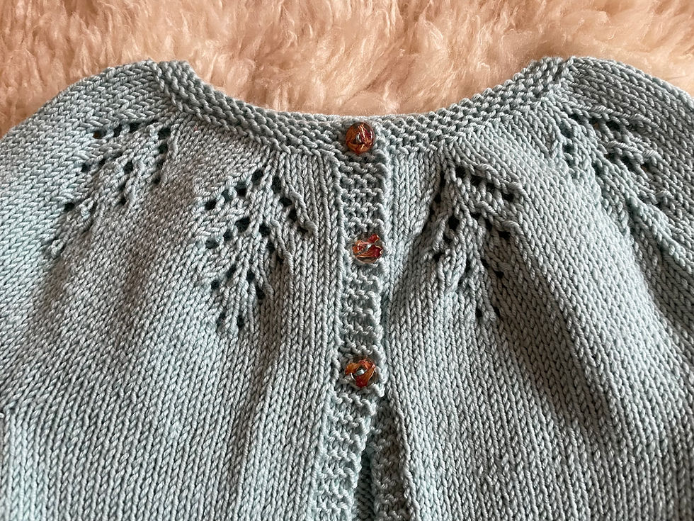 Merino 4 us de Rosarios4