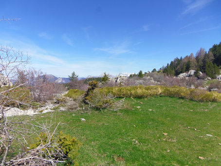 Randonnées d'Avril 2023