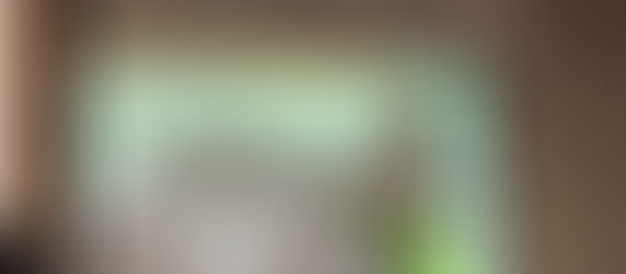 滋賀県手をつなぐ育成会 会員研修