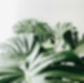jeremy-lee-f5r-CLcTKCk-unsplash_edited_edited.jpg