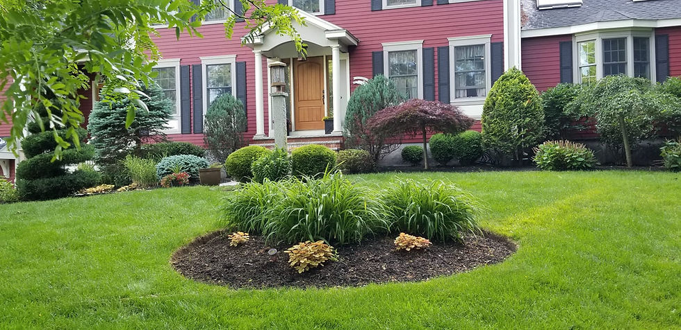 Beautiful yard with green grass, plants, trees and bushes with fresh mulch