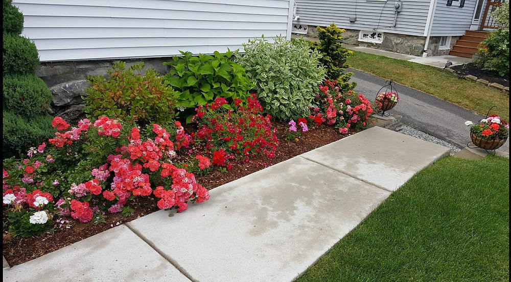 Blooming flowers in mulch bed