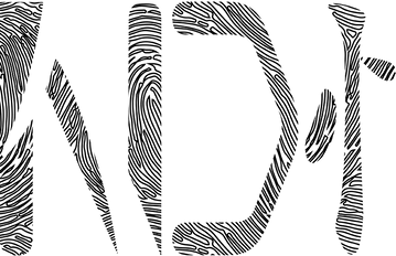 NDI LOGO