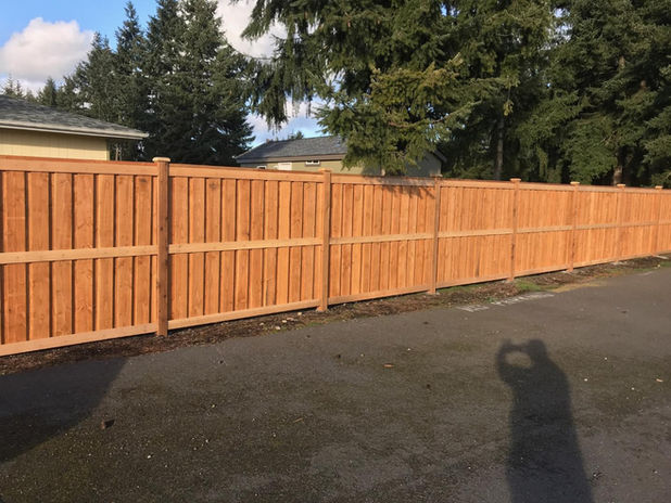 Cedar Fence.jpg