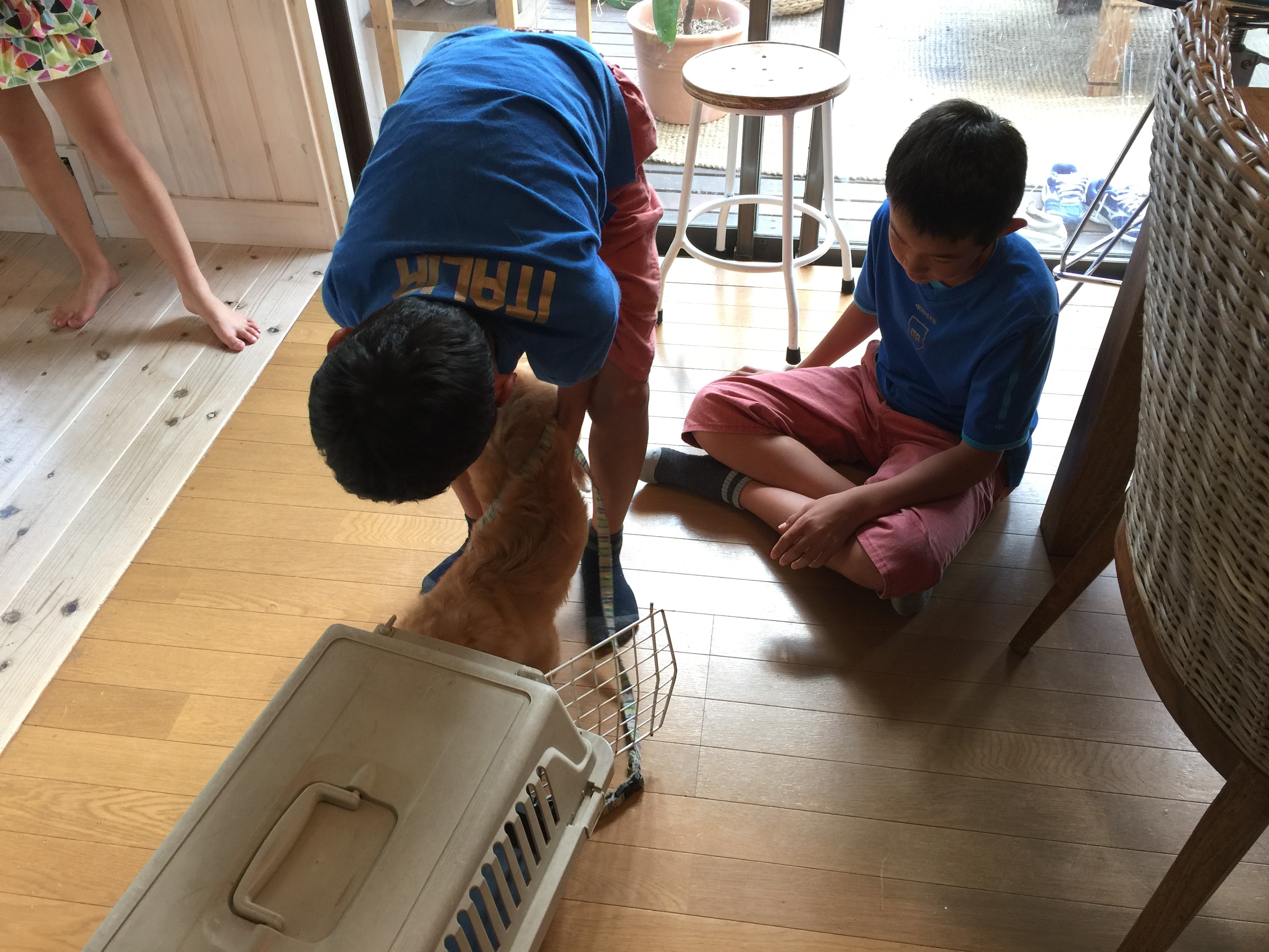 ハウストレーニング中