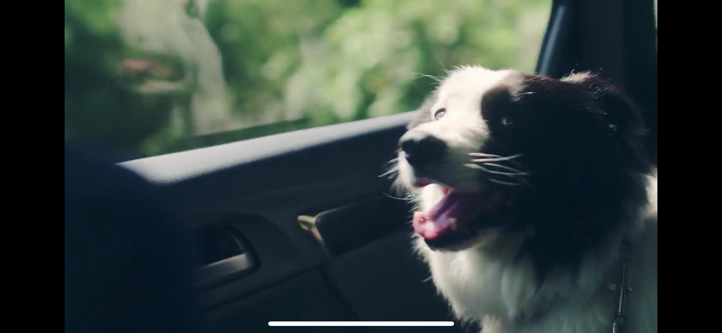 HONDA FITの撮影3