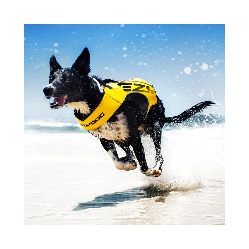 DFDX2-Boost-action.webp
