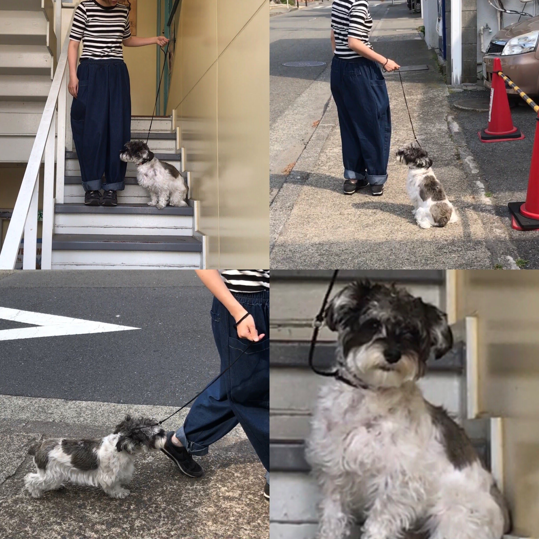 シュナミックスのモッピーちゃん
