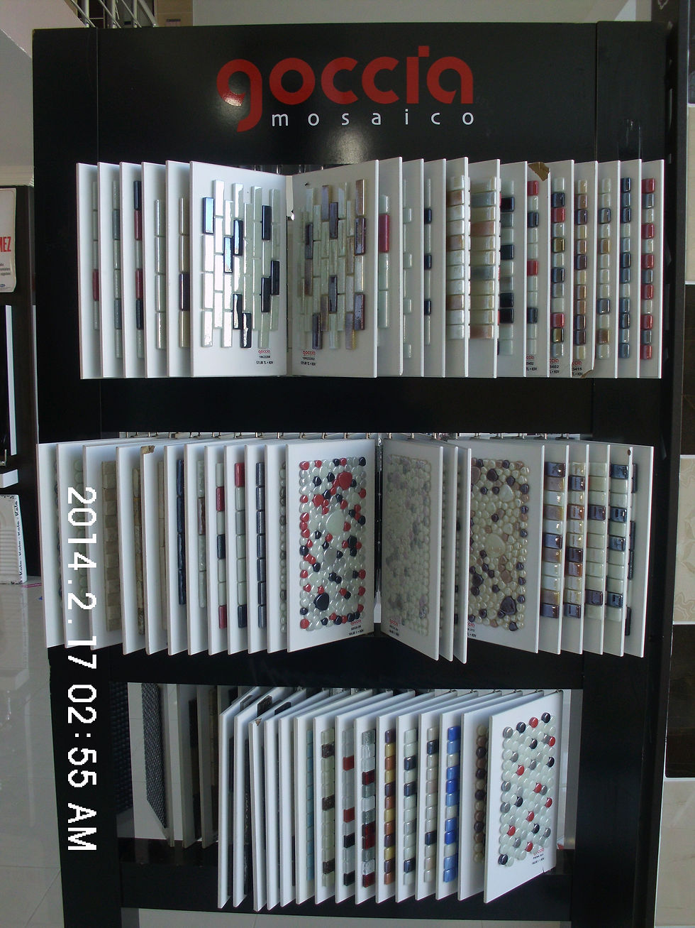 DSCI1597.JPG