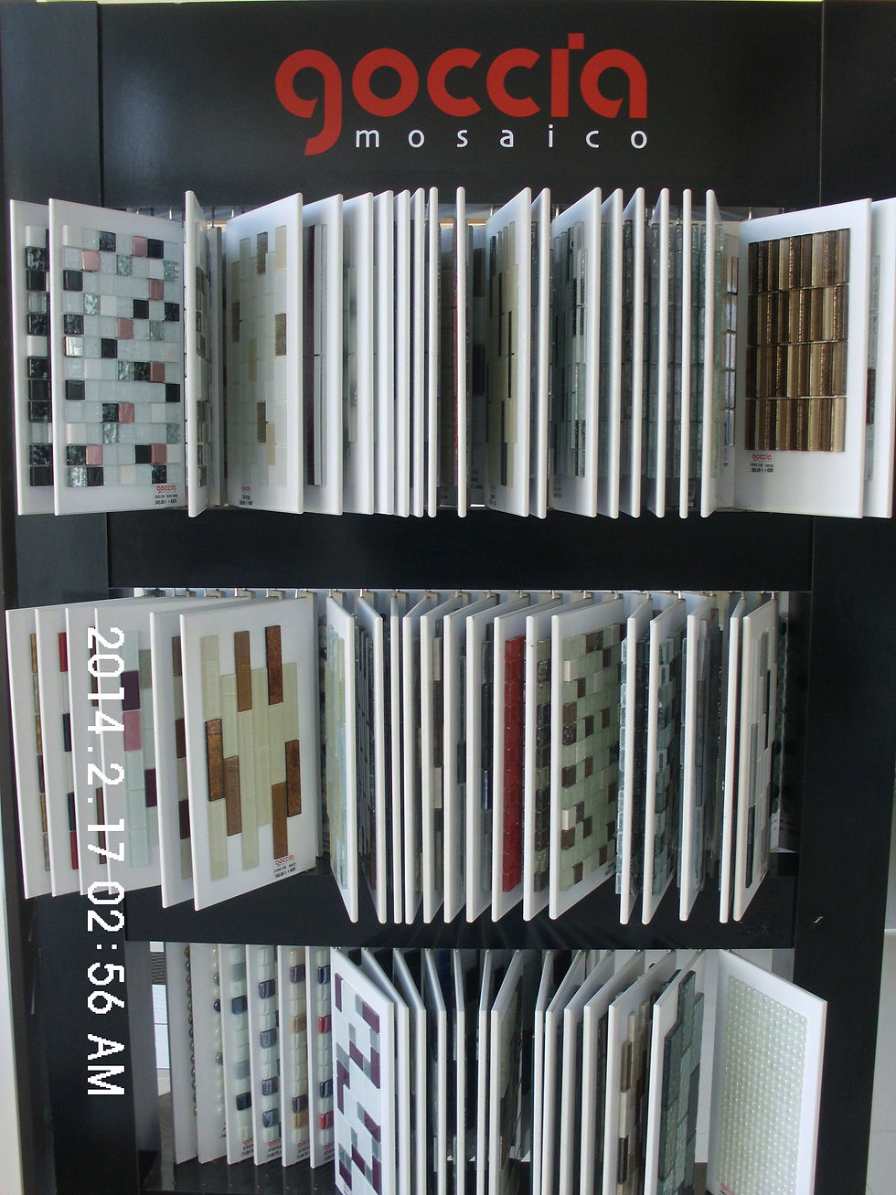 DSCI1600.JPG