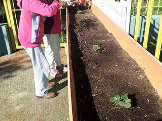 Περιποιούμαστε τον κήπο μας!!