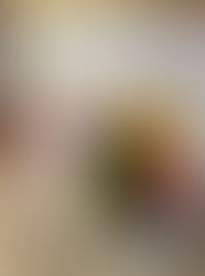 Άσκηση ΗΦΑΙΣΤΟΣ ΙΙ, 2025 - ΕΣΑμεΑ