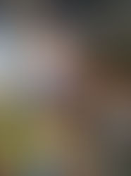 Λαϊκή Αγορά