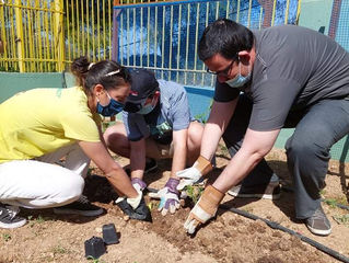 Περιποιούμαστε τον κήπο μας!!