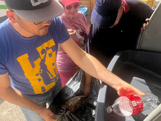 Ανακύκλωση